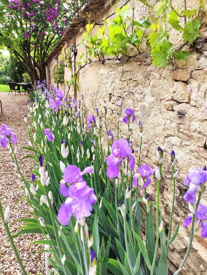 Le 14 Faubourg Beaune (Cote d'Or) Exterior foto